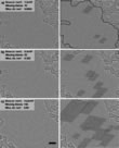 HRTEM images of graphene irradiated with electrons of different energy. Original images and with image processing for atom recognition